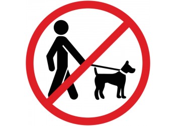 Managing Your Outdoor Space For Dog Walkers
